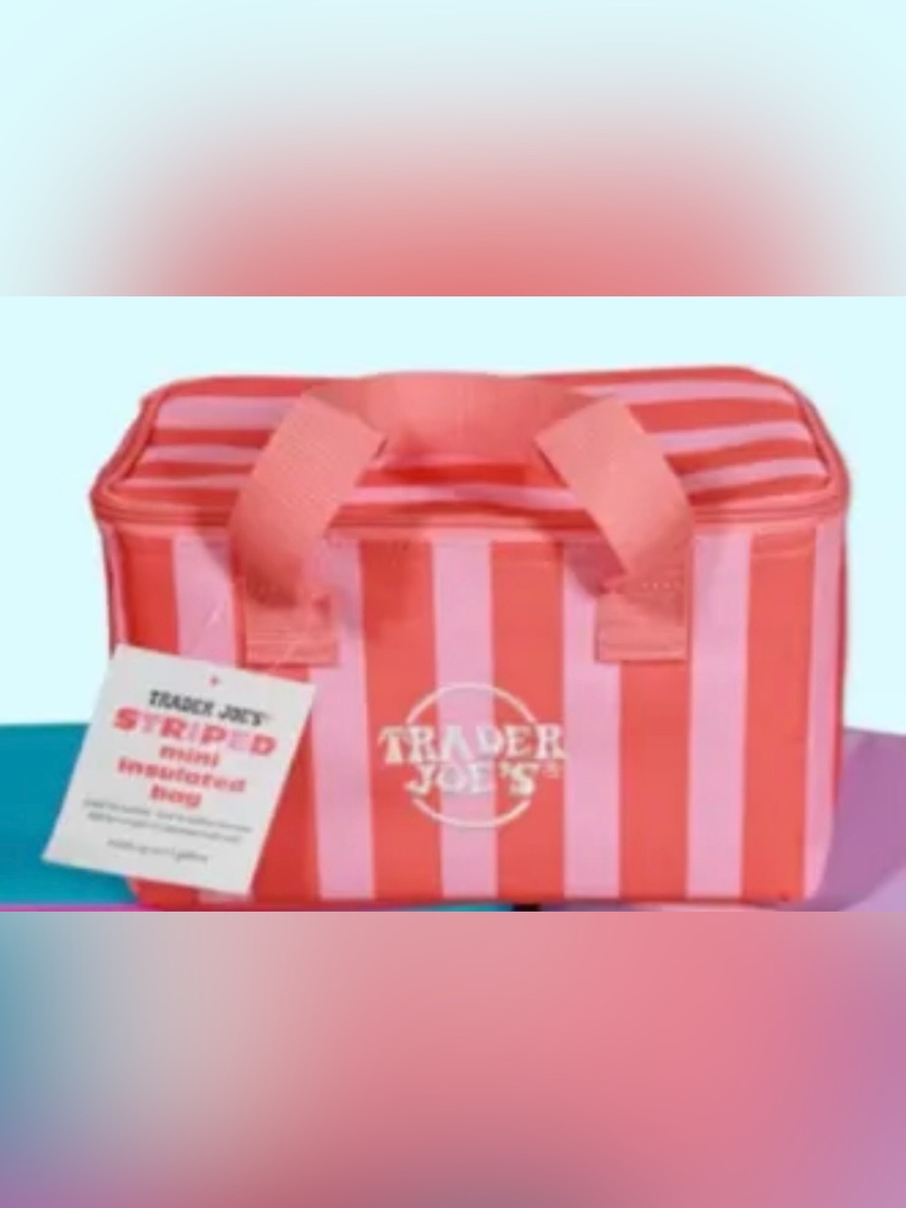 Trader Joe's mini insulated Tote Bag